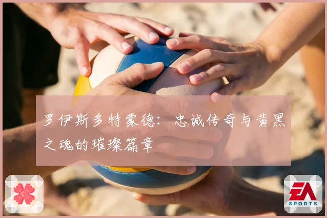 罗伊斯多特蒙德：忠诚传奇与黄黑之魂的璀璨篇章