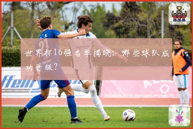 世界杯16强名单揭晓：哪些球队成功晋级？