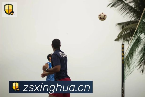 华体app登录入口发展历程