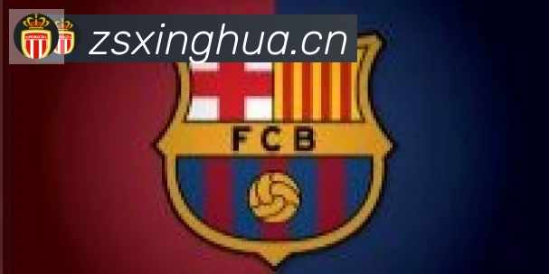 华体app登录入口合作伙伴